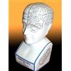 Freshnewlooks Phrenology Head L.N fowler porcellana Frenologia ceramica 12 '' testa in ceramica Antico off crackle smalto