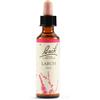 SCHWABE PHARMA ITALIA Srl LARCH BACH ORIG 20ML