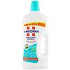 Amuchina Detergente Pavimenti Aloe, 1.5L