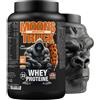 Zoomad Labs Proteine Moonstruck Whey 1 KG Vaniglia