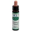 SANTIVERI SA AINSWORTHS RECOV REMEDY 10ML