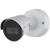 Axis 02131-001 telecamera di sorveglianza Capocorda Telecamera di sicurezza IP Interno e esterno 1920 x 1080 Pixel Soffitto/muro