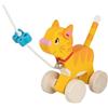 Trainabile gatto