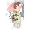 講談社 A Condition Called Love 14