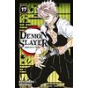Panini Demon Slayer T17