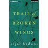 Amazon Publishing Trail of Broken Wings