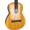 Kay Acoustic C950 - Natural | Naturale