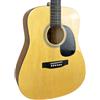 Collins CDP-1N Akustikgitarre - Natural | Naturale