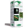 SANGALLI Srl Sangalli Lampone Gemmoderivato Integratore Alimentare 100ml