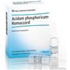 GUNA PHOSPHORICUM AC HOMAC 10F HEEL