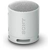 Sony SRS-XB100 - Speaker Wireless Bluetooth, portatile, leggero, compatto, da esterno, da viaggio, IP67 resistente acqua e polvere, batteria da 16 ore, cinturino versatile, chiamate in vivavoce-grigio