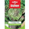 BLUMEN SEMENTI,CICORIA VARIEGATA DI CHIOGGIA