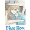 Viz Media Blue Box, Vol. 22: Volume 22