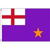 AZ FLAG Bandiera Purple Standard dl Regno Unito 150x90 cm 2 Occhielli