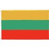 AZ FLAG Bandiera Lituania 90x60 cm Lituana Poliestere 100D 2 Occhielli | Uso interno ed esterno bandiera decorativa Lietuva doppie cuciture e bordi rinforzati con occhielli metallici