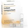 Heel Ledum compositum medicinale omeopatico 10 fiale soluzione iniettabile