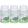 Armores Natura Moringa 3x46,1 g Compresse
