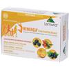 Henerga Pappa Reale Stick 4x100 ml Soluzione orale