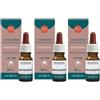 Erba Vita Olio Essenziale di Rosmarino Integratore Alimentare 3x10 ml essenziale