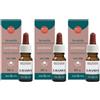 ERBA VITA Lavanda Olio Essenziale 3x10 ml