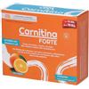 Sanavita Carnitina Forte Bustine 4x49 g Polvere per soluzione orale