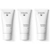 Dr. Hauschka Foundation 01 Macadamia 3x30 ml