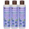 Shampoo Bio Antiossidante- Risparmia il 10% con codice: saponaria0926 3x200 ml