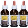 Punto Salute E Benessere Di S. Argento Colloidale Ionico 40 ppm 3x100 ml Gocce