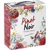 Arthur Metz - Pinot Pinot & Cie - Vino Rosso Bag in Box BIB (1 x 2,25L)