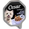 Cesar Vaschette 14 x 150 g - Scelta dello chef: Agnello, Carote e Coriandolo in gelatina