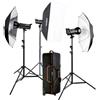 Godox Kit flash da studio Godox DSII 2xDS300II 1xDS400II