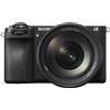 Sony Alpha ILCE-6700 + SEL 16-55mm f/2.8 G