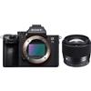 Sony Alpha ILCE-7 III + Sigma 56mm 1.4 DC DN