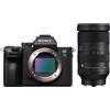 Sony Alpha ILCE-7 III + Sigma 28-105mm f/2.8 DG DN