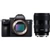 Sony Alpha ILCE-7 III + Tamron 16-30mm f/2.8 Di III VXD G2