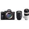 Sony Alpha ILCE-7 III (ILCE7M3) + SEL 24-105mm f/4.0 + FE 100-400mm OSS - Teleobiettivo Zoom per Sony E-Mount