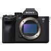 Sony Alpha ILCE-7R V + SEL 200-600mm f/5.6-6.3