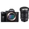 Sony Alpha ILCE-7 III + Sigma 24-70mm f/2.8 DG DN II (A) - Obiettivo Zoom per Sony E-Mount
