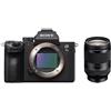 Sony Alpha ILCE-7 III (ILCE7M3) + SEL FE 24-240mm f/3.5-6.3 OSS