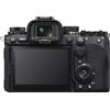 Sony Alpha ILCE-9 III + Sony FE 50mm f/1.8 prime