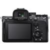 Sony Alpha ILCE-7 IV + Sony SEL 24-105mm - Obiettivo Zoom per Sony E-Mount