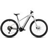Cube E-bike Reaction Hybrid One 800 Grigio, Taglia: M, grigio