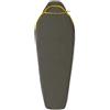 Sea To Summit Sacco A Pelo Reactor Midweight Regular Nero, Taglia: UNI, nero