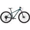 Specialized Bici Rockhopper Expert Verde, Taglia: S, verde