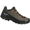 Salewa Scarpe Uomo Alp Trainer 2 Gtx Marrone, Taglia: 8,5, marrone