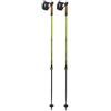 Df Mountain Bastoncini Nordic Walking Pro Verde, Taglia: UNI, verde