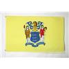 AZ FLAG Bandiera New Jersey 90x60 cm Poliestere 100D 2 Occhielli | Uso interno ed esterno bandiera decorativa dello stato americano del New Jersey doppie cuciture e bordi rinforzati
