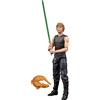 Hasbro Star Wars HTTE Luke Skywalker e Ysalamiri Serie Nera Lucasfilm 50° Anniv. Action Figure 15 cm HASF3006