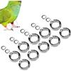 Fdit 10PCS Bird Foot Rings Anti Escape Pappagallo Leg Ring Birds Anklet Ring Outdoor Fly Training Activity Ring Clip per Pet Training(#6)