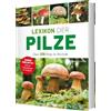 Naumann & Göbel Verlagsgesellschaft mbH Lexikon der Pilze - Handbuch für Pilzsammler mit über 210 Pilzen: Essbar oder giftig? Typische Doppelgänger im Vergleich I Pilzbuch für Anfänger + Profis